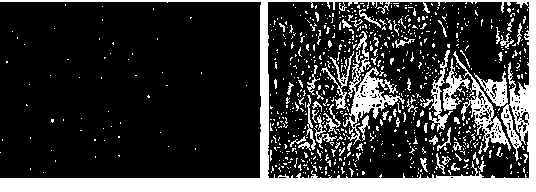 Carrier system and method for inputting nanoparticles into cell