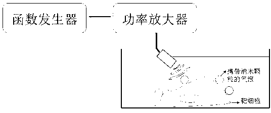 Carrier system and method for inputting nanoparticles into cell