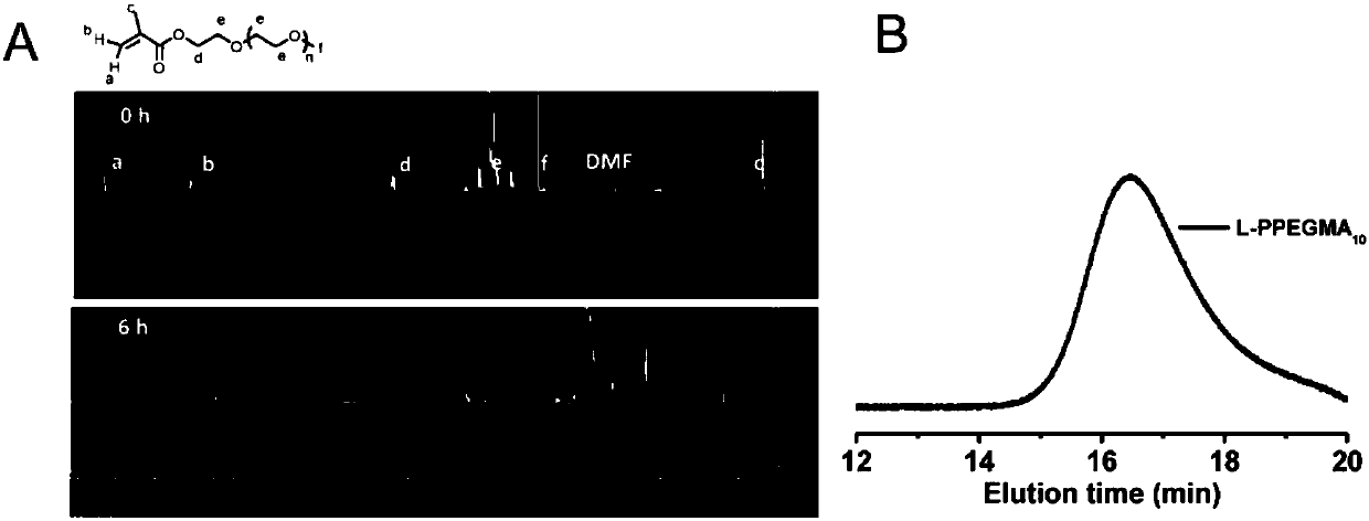 PEG nuclear-crosslinked star high-molecular nano contrast agent and preparation method and application thereof