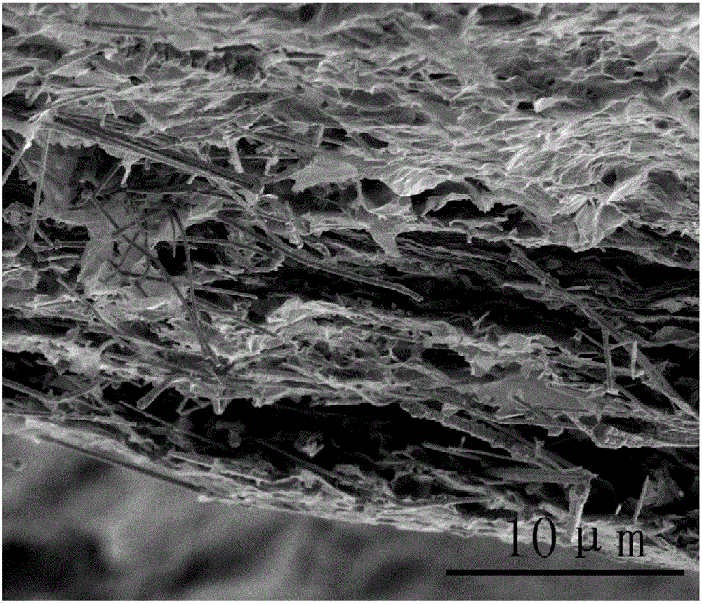 Copper nanowire/graphene composite material and preparation method and application thereof