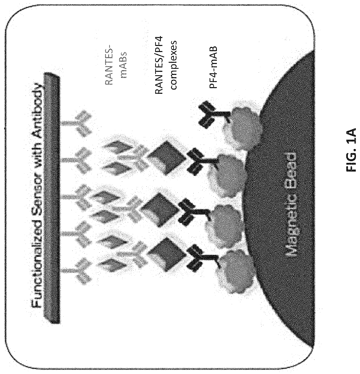 Biomarker combinations for monitoring chronic obstructive pulmonary disease and/or associated mechanisms