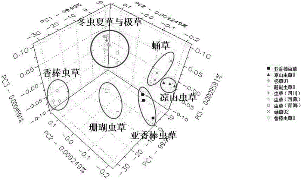 Method for rapidly identifying authenticity and quality of Cordyceps sinensis