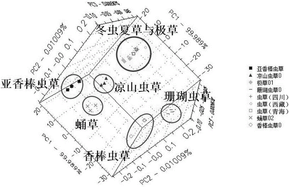 Method for rapidly identifying authenticity and quality of Cordyceps sinensis