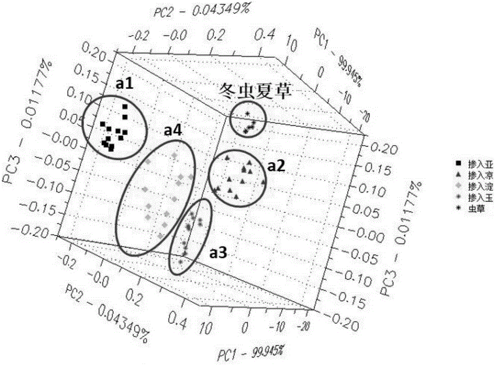 Method for rapidly identifying authenticity and quality of Cordyceps sinensis