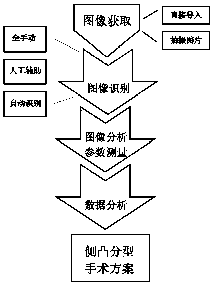 Data processing method for idiopathic scoliosis images