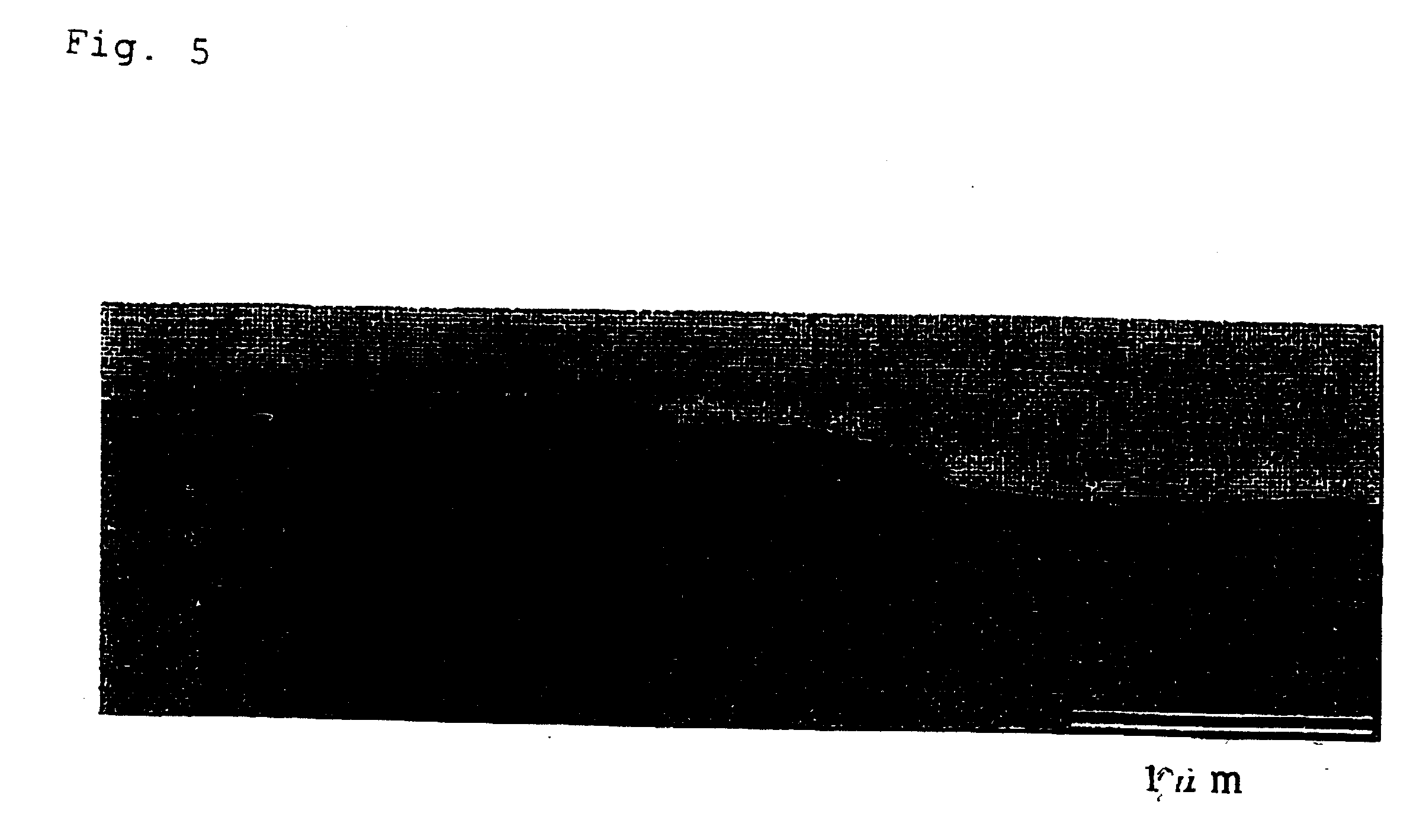 Propylene random copolymers and use thereof