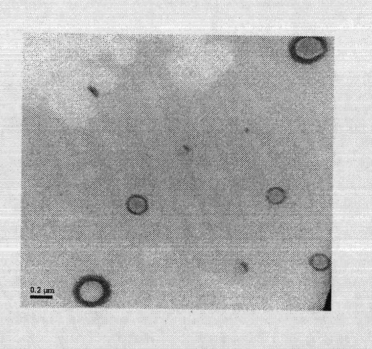 Compound ceftiofur suspension emulsion injection and preparation method thereof