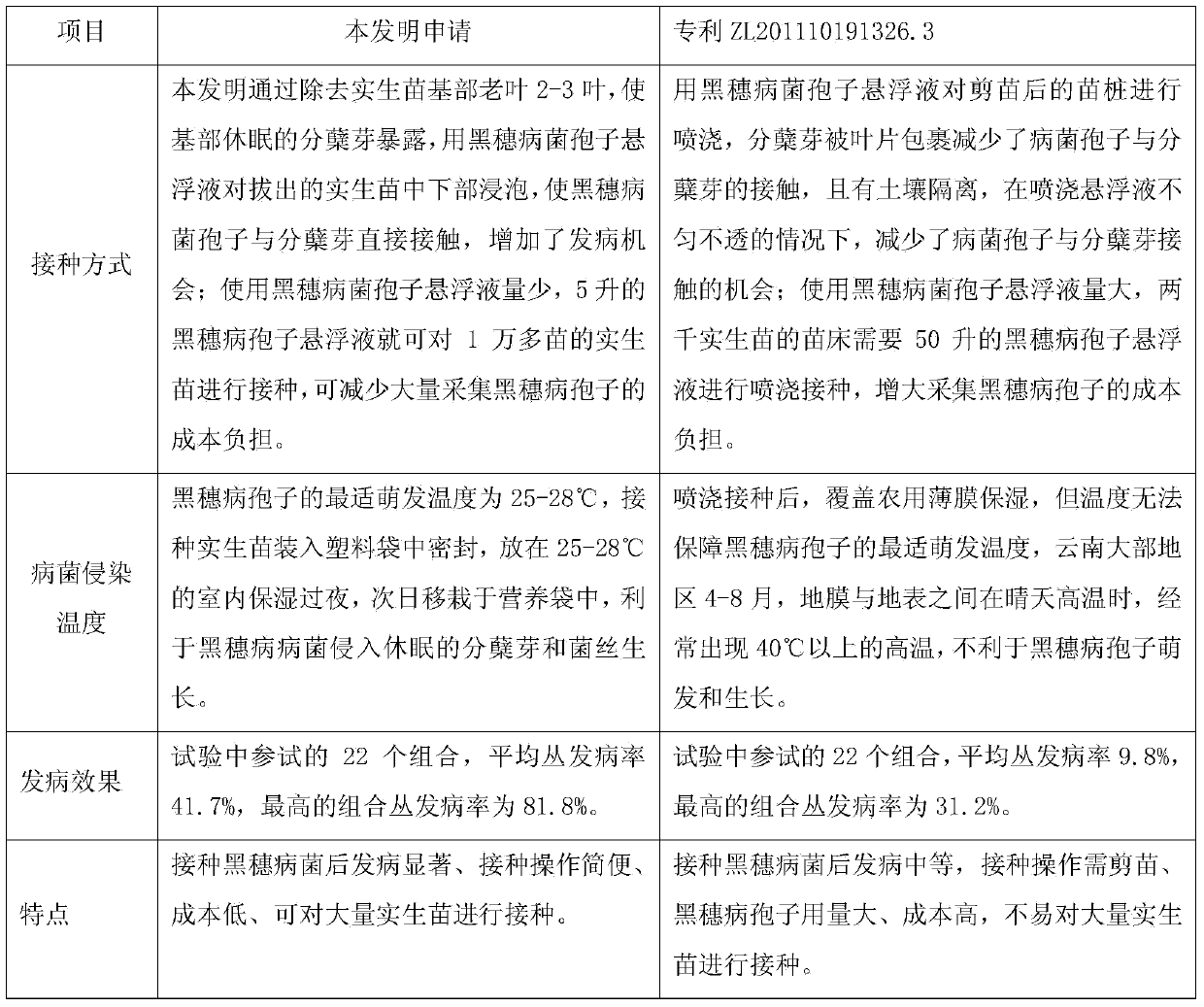 Efficient smut inoculation method for sugarcane seedlings