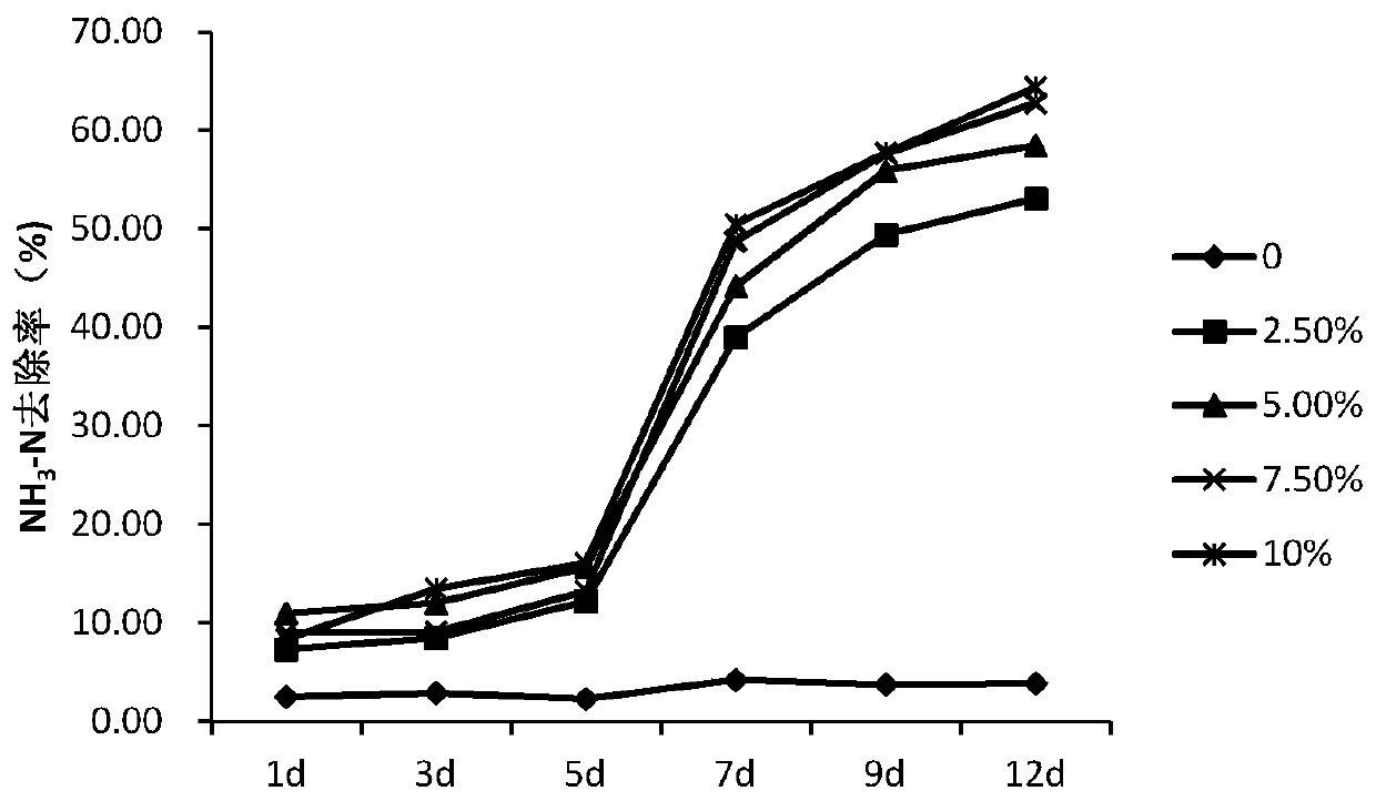 A kind of compound microbial living bacteria preparation and its application in high concentration pig raising wastewater