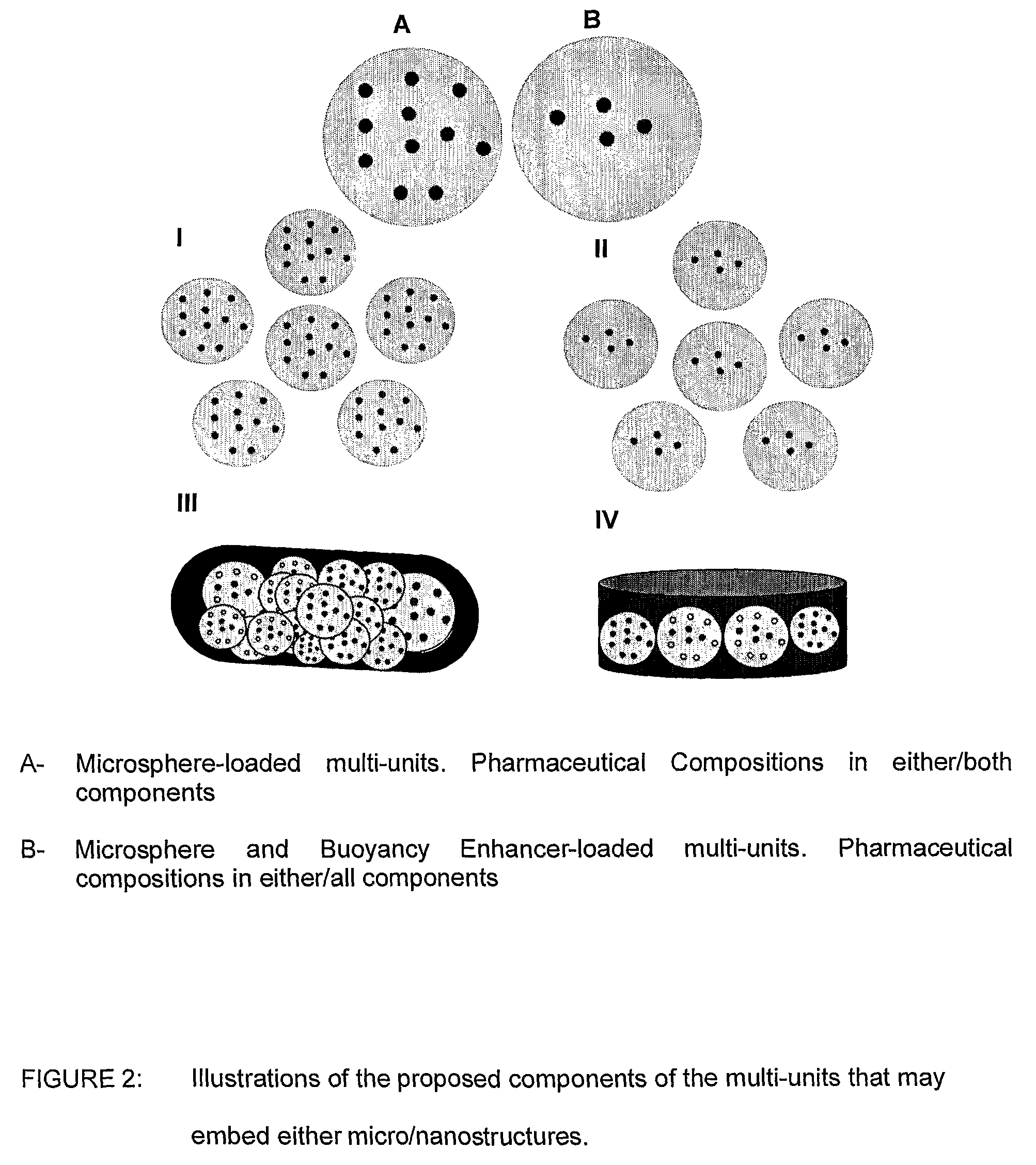 Multi-unit gastroretentive pharmaceutical dosage form comprising microparticles