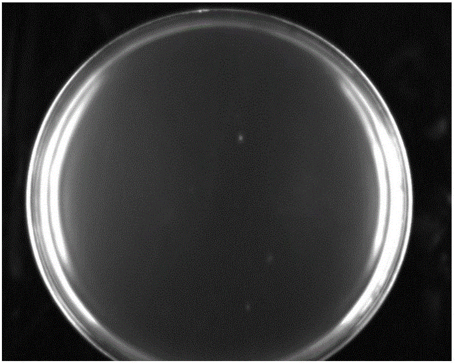 Antibacterial filter core and its preparation method and application