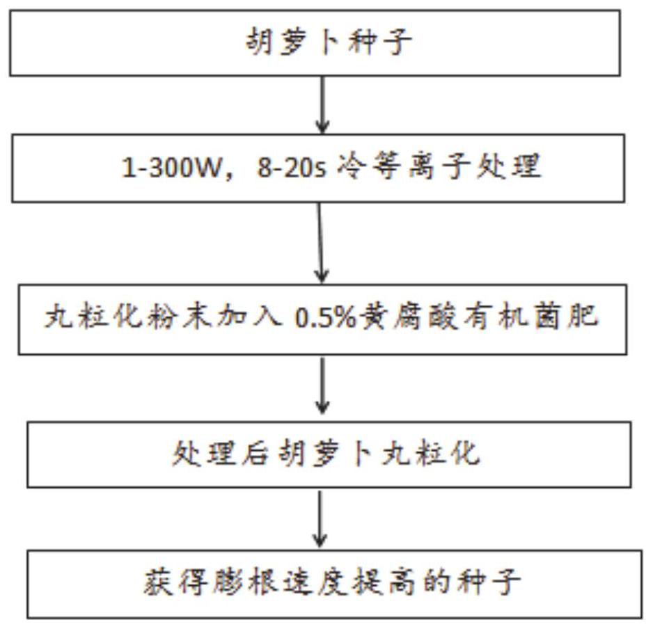 Seed treatment method for increasing carrot root swelling speed and application thereof