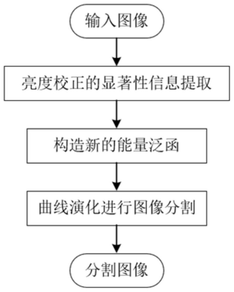 Method and system for level set image segmentation combined with saliency information of brightness correction