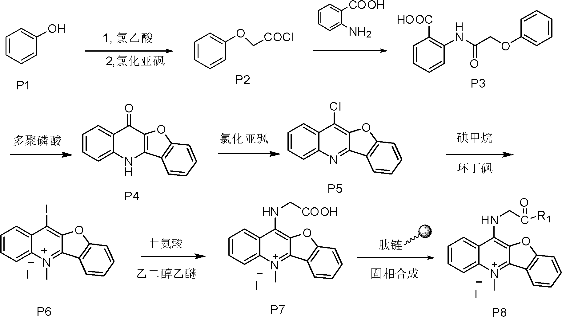 Peptide derivative of benzfuran quinoline and preparation method thereof and application thereof as antitumor medicament