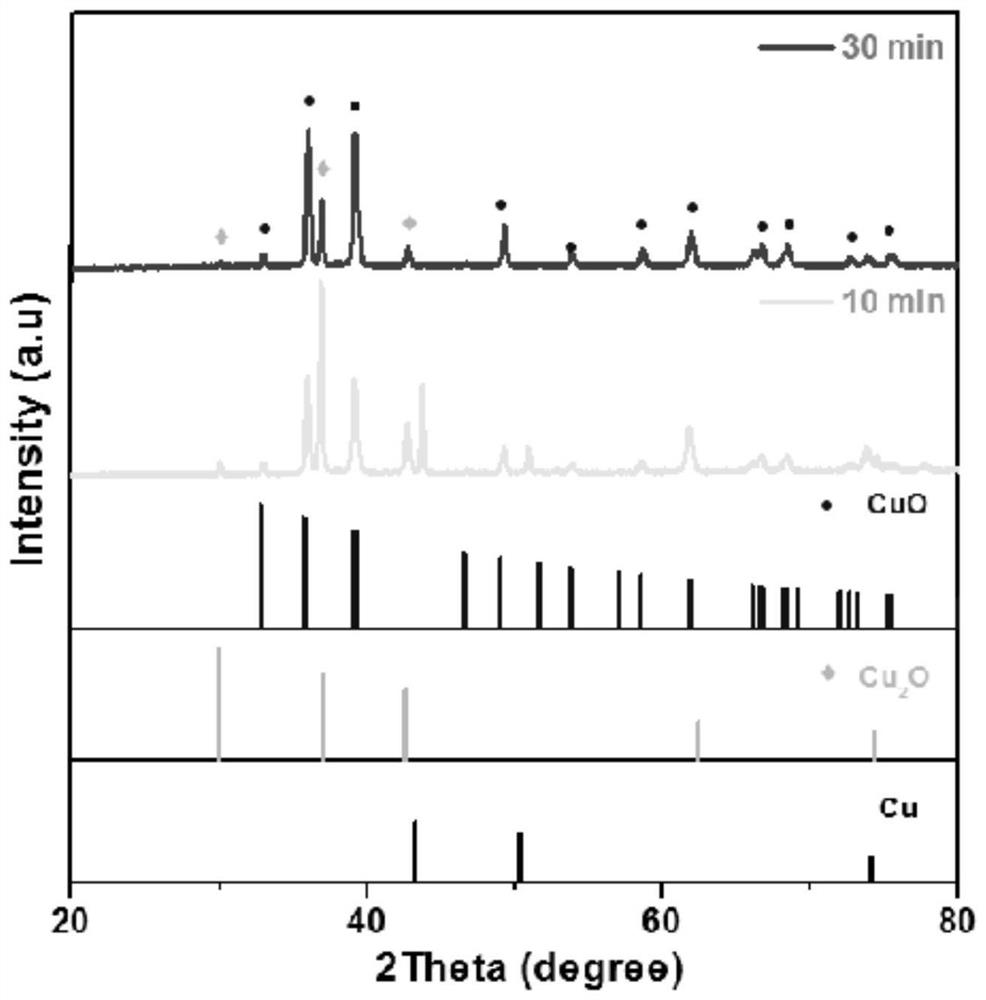 Foamy copper in-situ growth copper oxide/cuprous oxide photocatalytic material as well as preparation method and application thereof