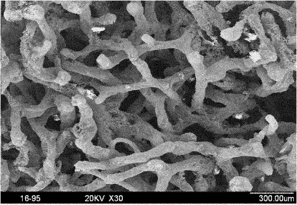 Method for preparing mesh-shaped bionic bone porous stent material