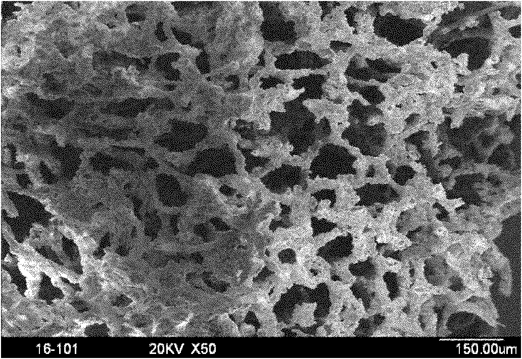 Method for preparing mesh-shaped bionic bone porous stent material