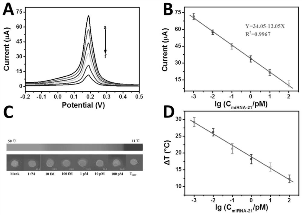 Double-signal miRNA-21 detection method based on three-dimensional DNA Walker and MOF-Fe (II) induced generation of Turnskill blue