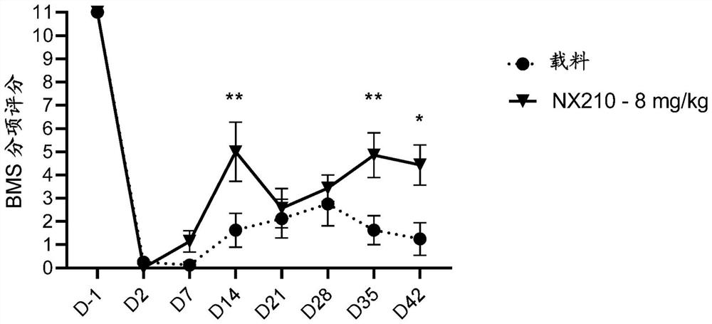 Systemic administration of peptides for treatment of spinal cord injury and/or remyelination