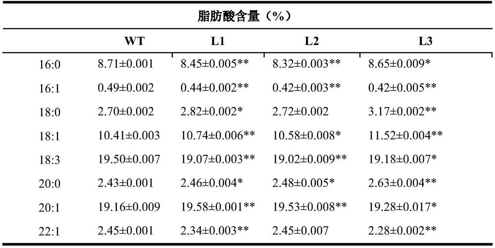 Plant seed fatty acid-related protein ghbzip67 and its encoding gene and application