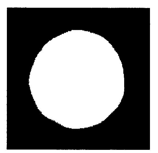 Method for treating and classifying orange image based on RGB composite model