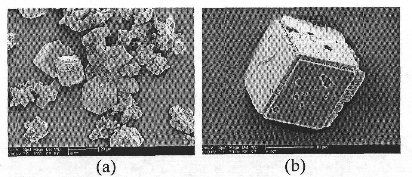 Method for preparing calcium carbonate by using catalysis of microbial carbonic anhydrase