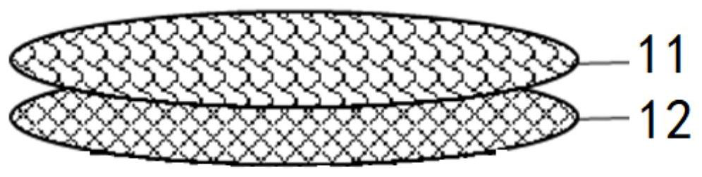 Anti-infection nasal vestibule covered stent and preparation method and application thereof