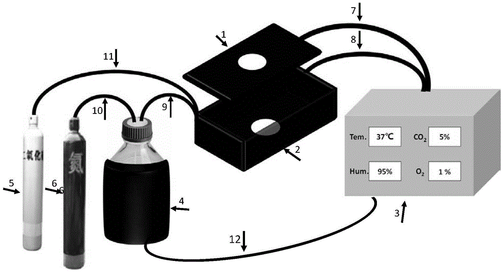 Cell oxygen-deficient environment system constructed based on micro-numerical control living cell culture chamber