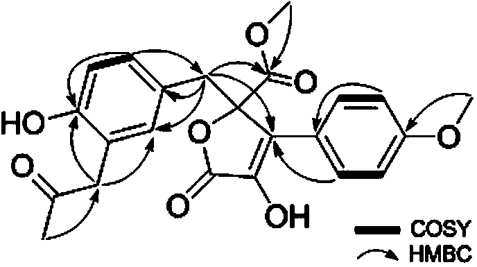 Butyrolactone lignan compound and preparation method and application thereof