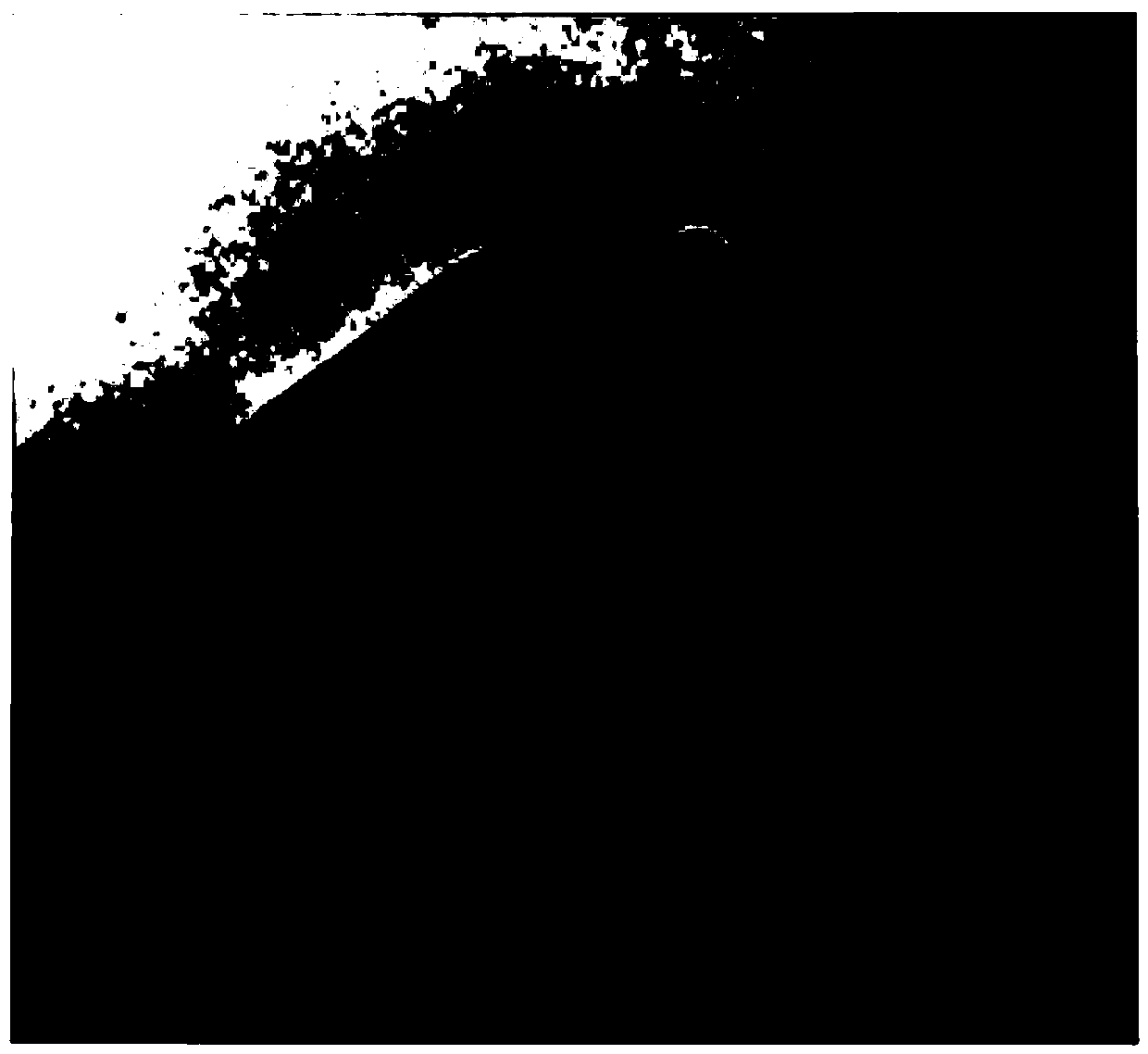 A kind of viscoelastic magnetic abrasive tool with silicon rubber as matrix and preparation method thereof