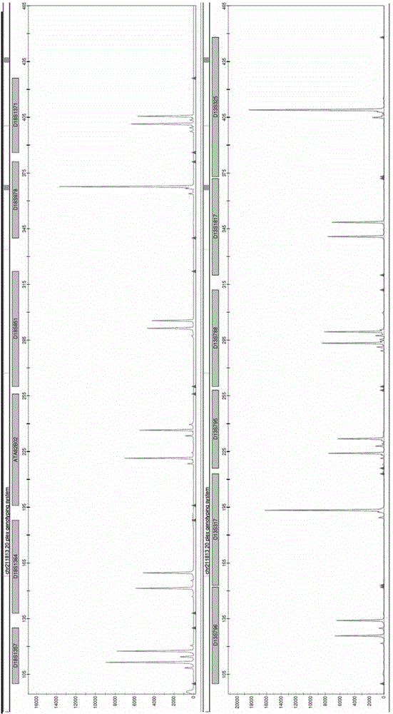 Gene typing detection kit for human 13,18 and 21 chromosome 20 STR locus