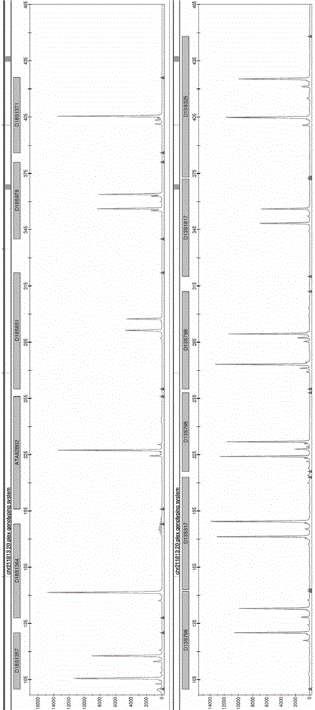 Gene typing detection kit for human 13,18 and 21 chromosome 20 STR locus