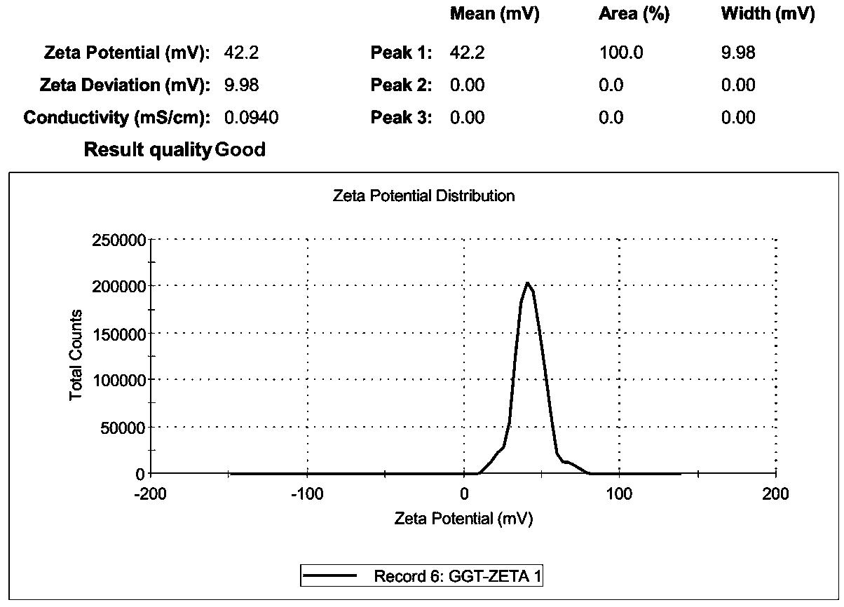 GGT antibody immune nano magnetic beads and preparation method and application thereof