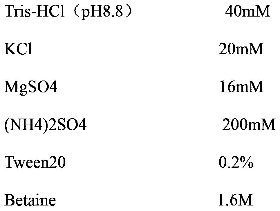 Primers for detecting plum pox viruses as well as kit and detection method