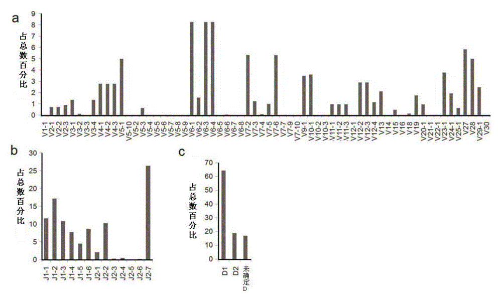 Primer group for developing rhesus T cell immune repertoire, high-flux sequencing method and application of method