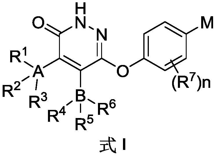 Substituted pyridazinone compound and application thereof