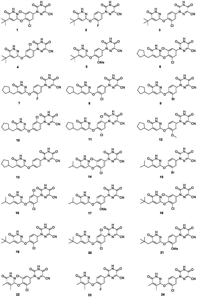 Substituted pyridazinone compound and application thereof