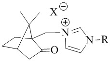 A class of camphor-based imidazole type ionic liquid and its preparation method and application