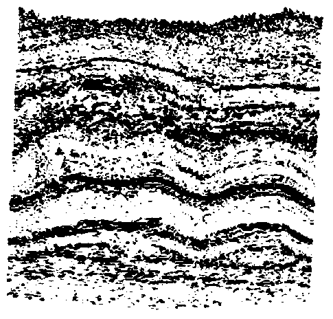 Three-dimensional seismic body vector quantization compression body rendering method