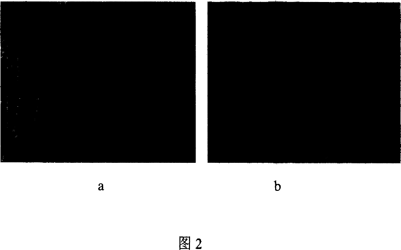 Preparation of graduated nano-structural transition metal oxide by two-phase solvent soft interface process