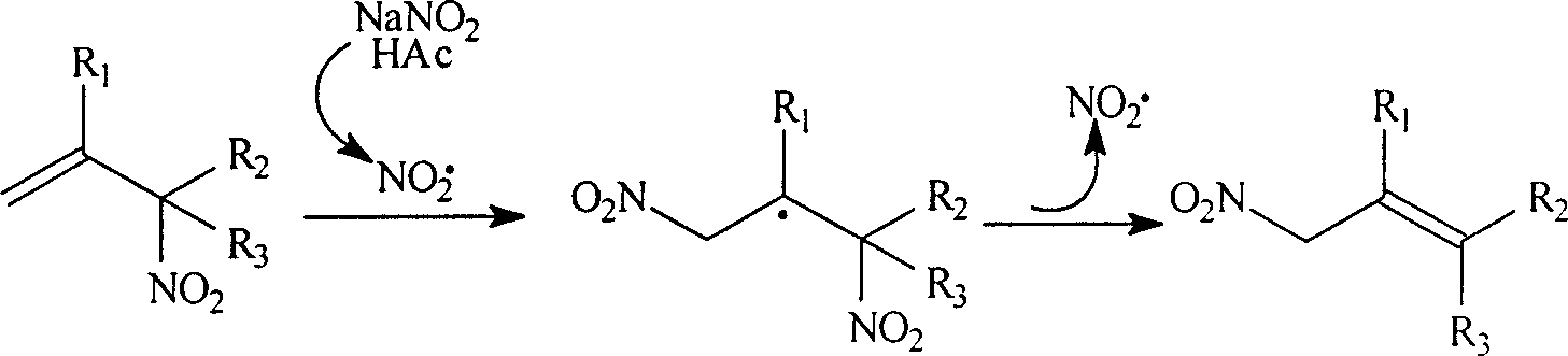 Process for preparing allylic primary nitro compound