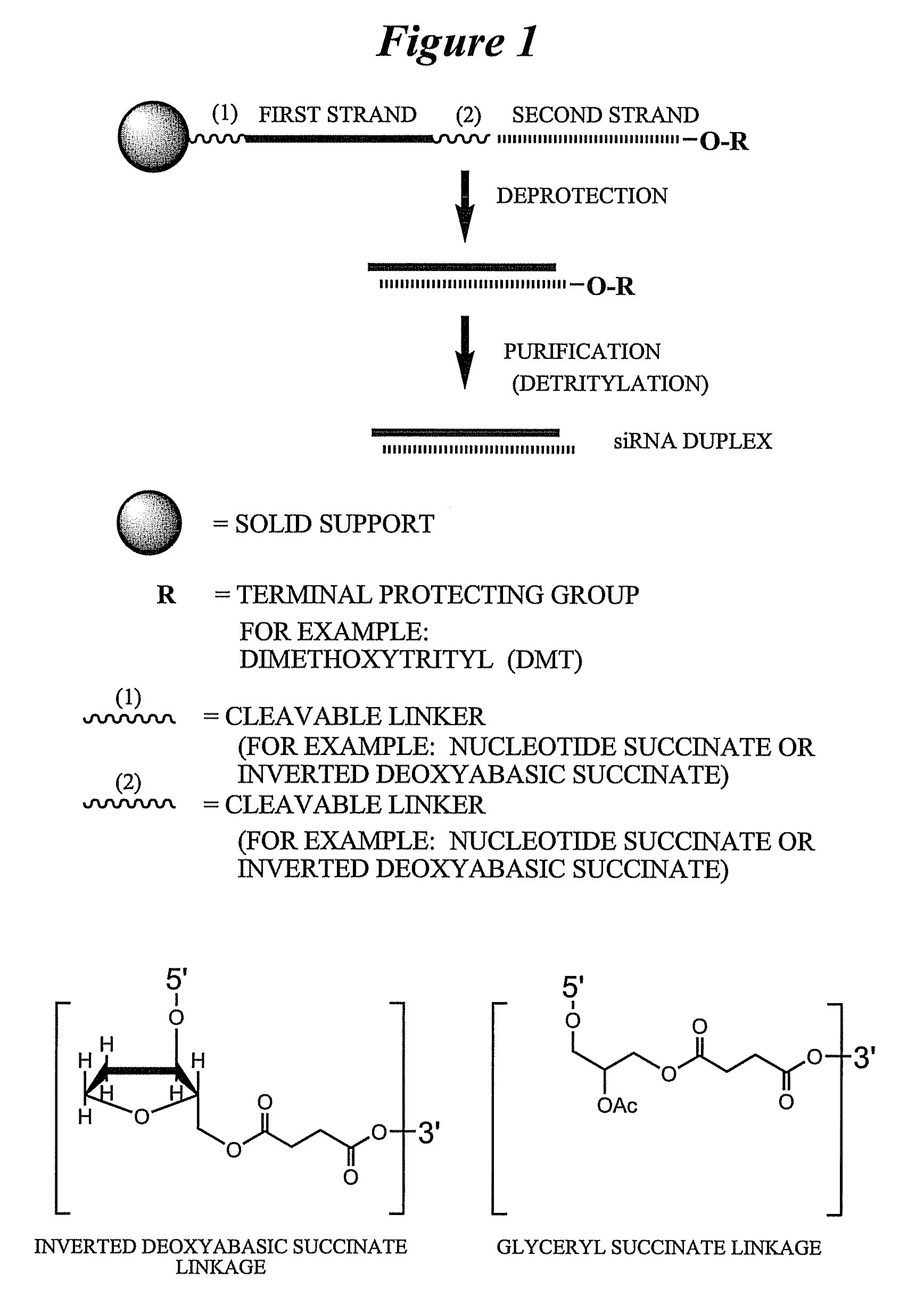 RNA Interference Mediated Inhibition of Cyclic Nucleotide Type 4 Phosphodiesterase (PDE4B) Gene Expression Using Short Interfering Nucleic Acid (siNA)