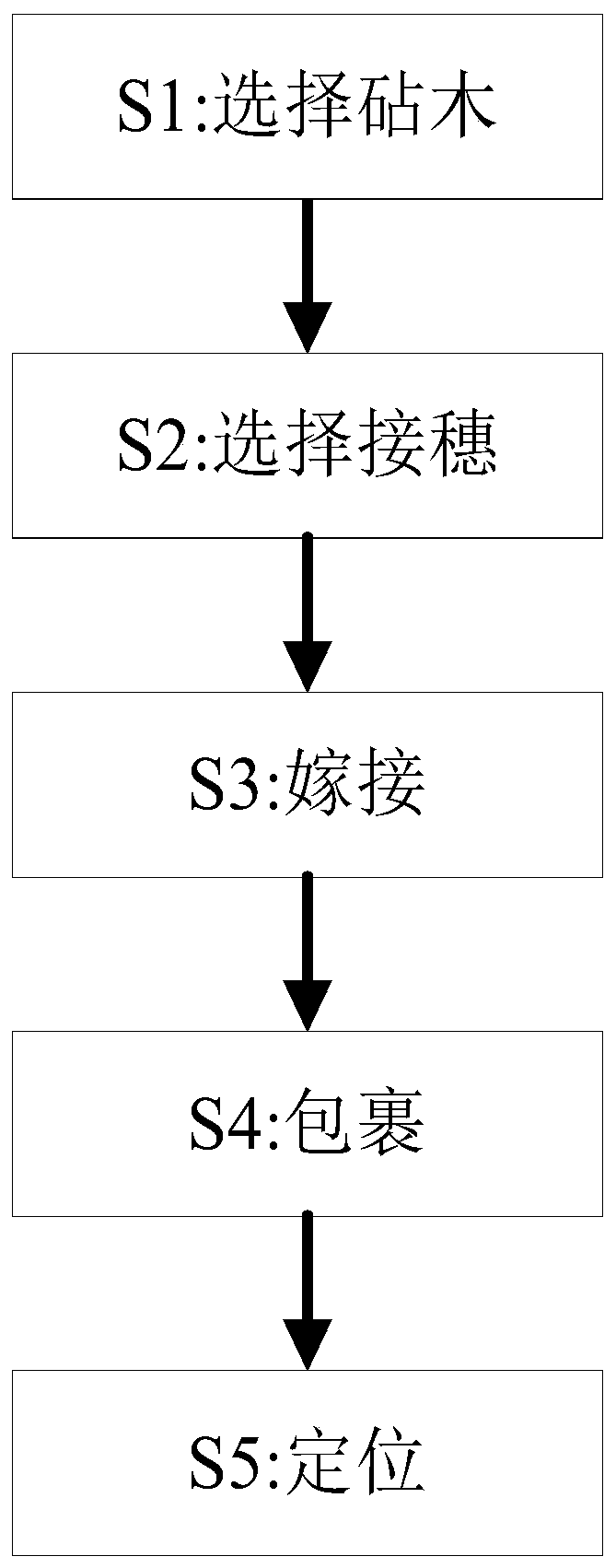 Method for improving grafting survival rate of plants