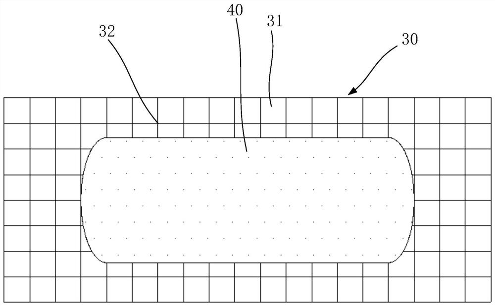 Pharmaceutical preparation, system containing pharmaceutical preparation and preparation method and application of pharmaceutical preparation