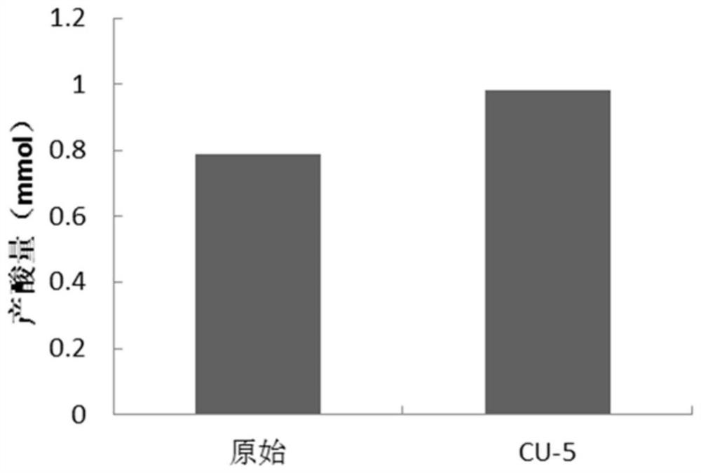 Method for mutagenizing microbial strains, Clostridium butyricum strains and applications