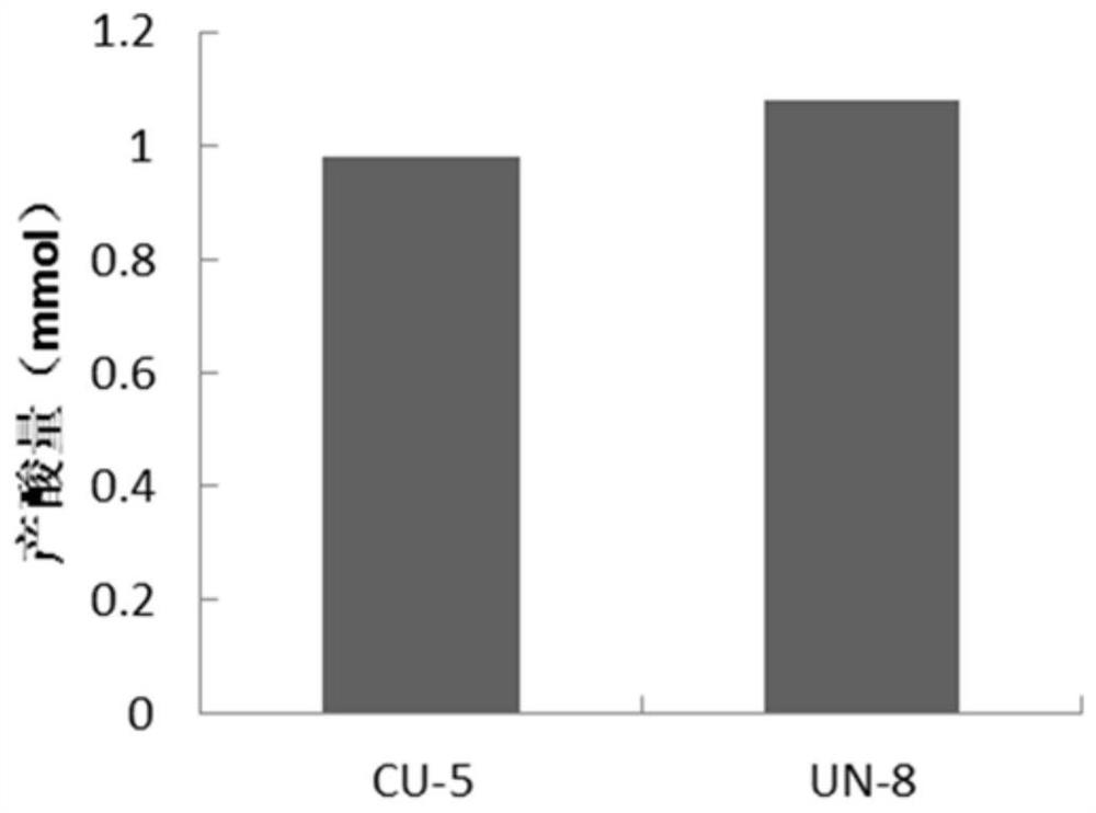 Method for mutagenizing microbial strains, Clostridium butyricum strains and applications