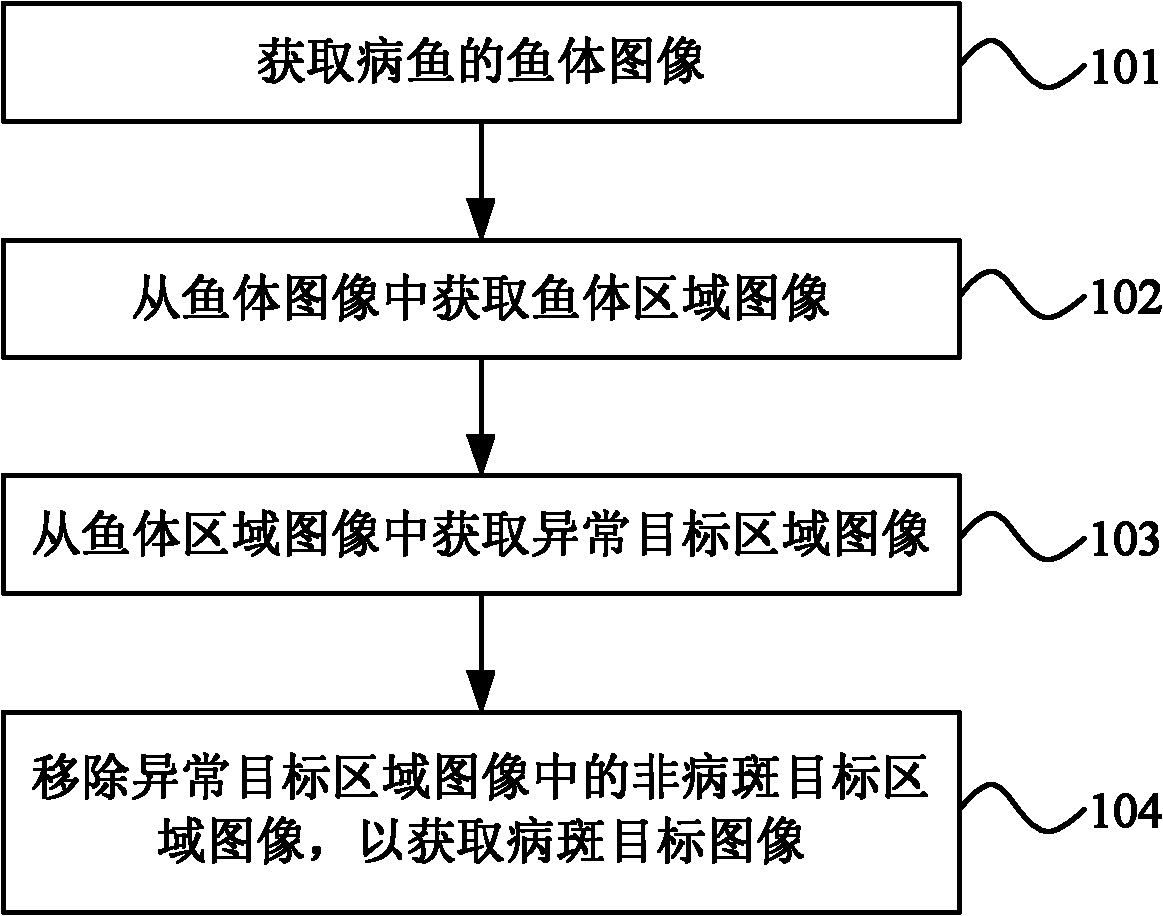 Method and system for processing image of diseased fish body