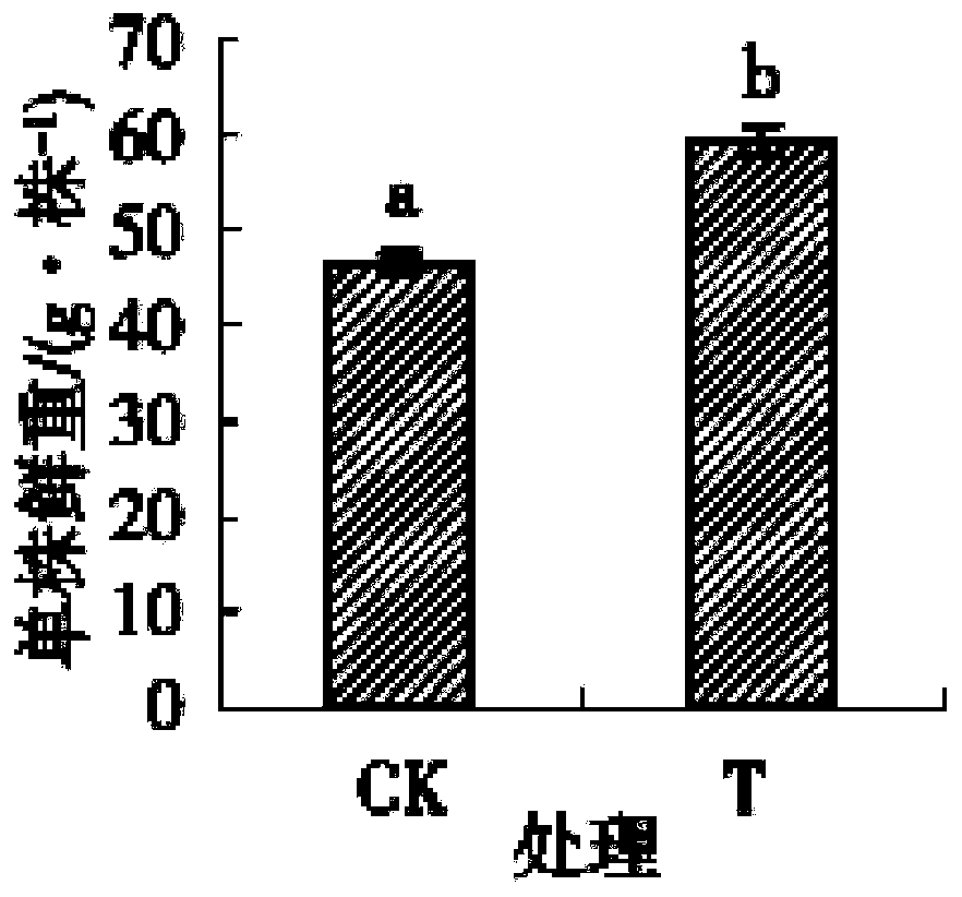 Soil heavy metal passivator, preparation method thereof, and soil treatment agent