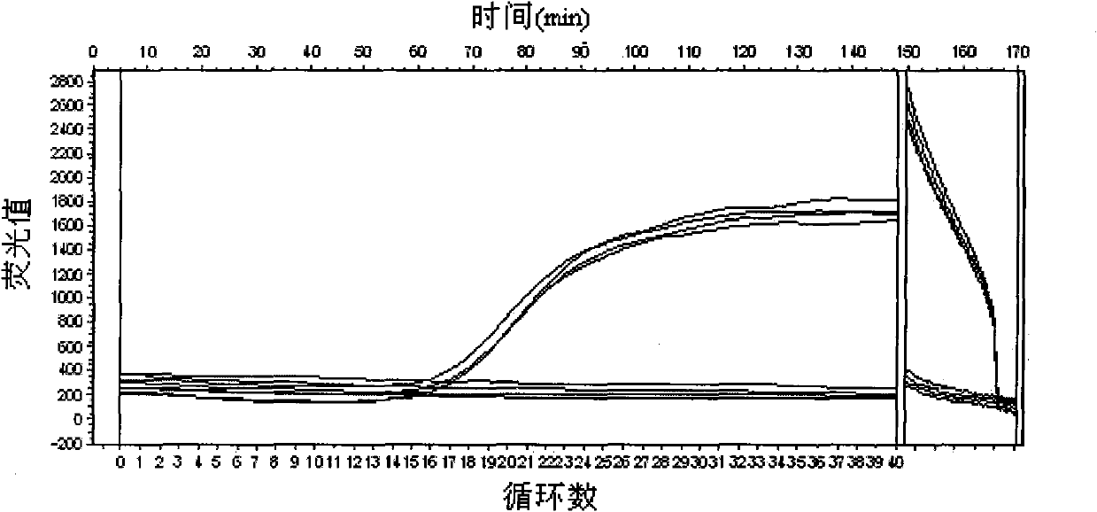 Kit for fluorescence real-time quantitative PCR detection of Laribacter hongkongensis and detection method