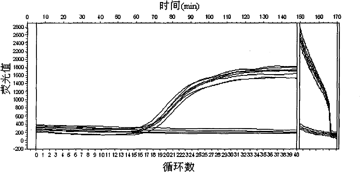 Kit for fluorescence real-time quantitative PCR detection of Laribacter hongkongensis and detection method